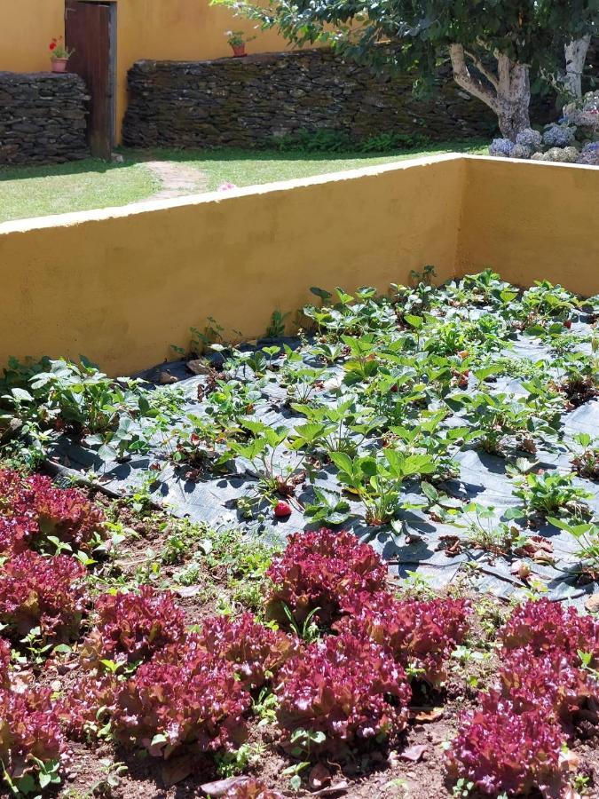 Casas De Maragouzos Villa Silleda Dış mekan fotoğraf